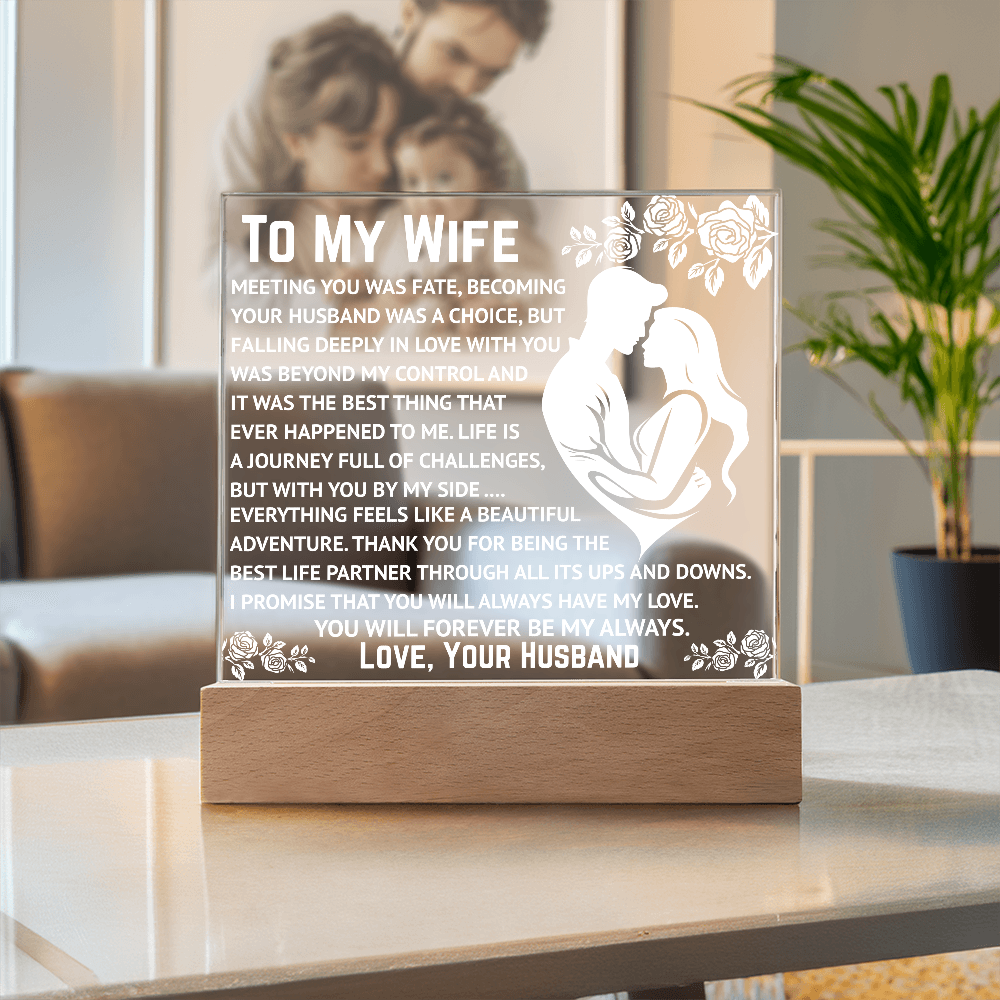 To My Wife - Beyond My Control