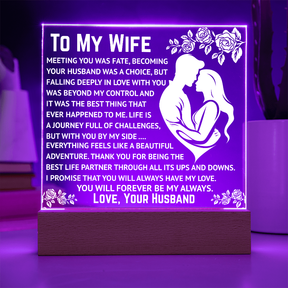 To My Wife - Beyond My Control