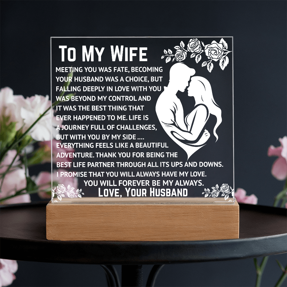 To My Wife - Beyond My Control