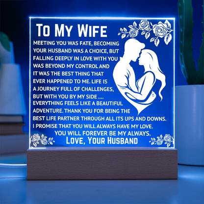 To My Wife - Beyond My Control