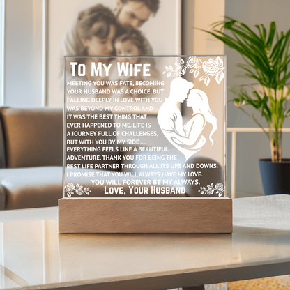 To My Wife - Beyond My Control