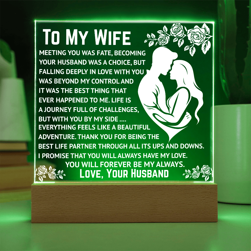 To My Wife - Beyond My Control
